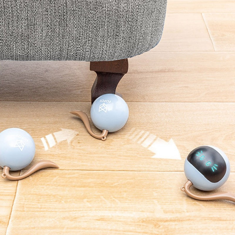 Bolas de brinquedo para gatos, brinquedo inteligente interativo, bolas  giratórias de 360 graus, recarregáveis por USB, bola automática com luz de  LED para exercícios de entretenimento de gatos e gatos
