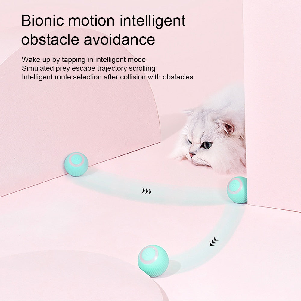 Jogo Inteligente De Brinquedo Automático Para Gatinhos Cat L